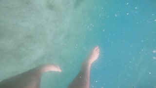 Scary Encounter with Nurse Shark