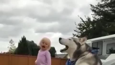 Sing a song small girl and dog so funny video watch 2021-22