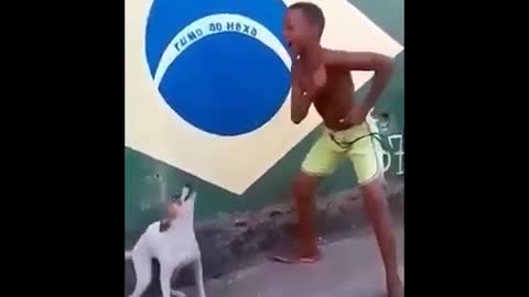 Funny dog dancing with a boy 🕺🐕