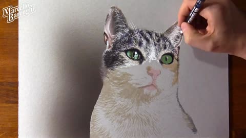 Draw And Color The Kitten's Ears