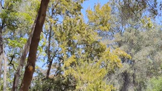 South end of Presidio Park