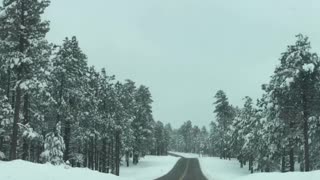 Winter Drive