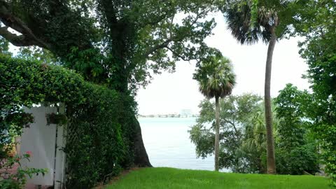 305 Spring Court Waterfront Beauty in the heart of Clearwater Florida!