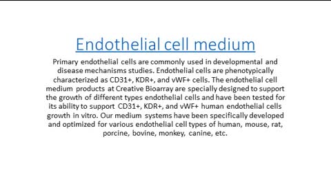 endothelial cell medium