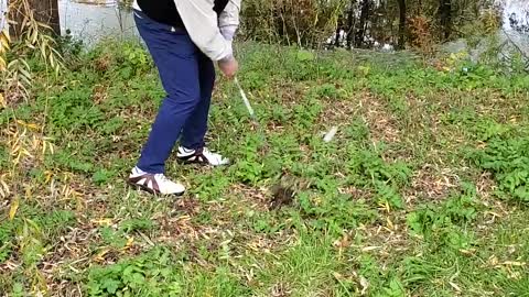 Amazing golf shot through the forest !