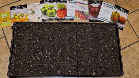 Starting a Tray of Heirloom Tomato Seeds 04/08/2024