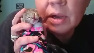 Feeding baby kitten