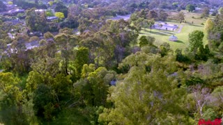 Lilydale Lake, Victoria, Australia