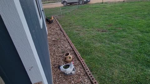 No Till Landscape Bed Next to Cabin 2023