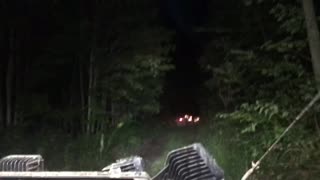 Partridge trail at night