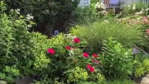 Landscaping Services Poughkeepsie