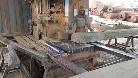 Big !!! The Form Of Large Bengkirai Wood Sawed With A #Bansaw Chainsaw