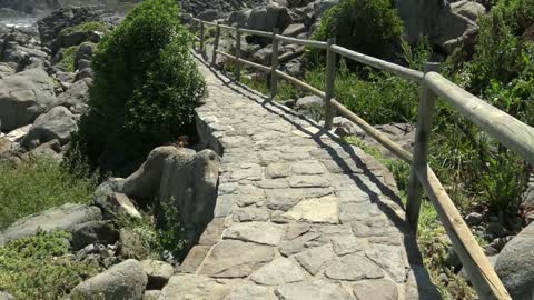 Penguin island, Cachagua, Zapallar beach in Chile