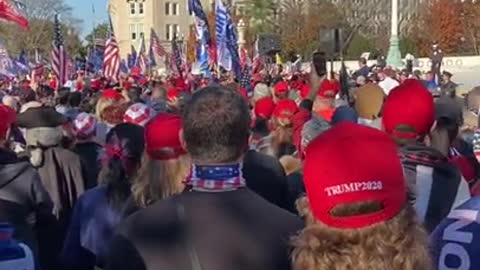 Million MAGA March Sebastian Gorka