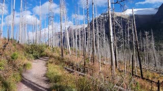 Hiking St Mary Falls and Virginia Falls Glacier National Park.