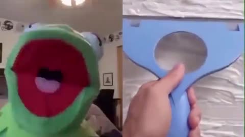 Kermit vs shaving cream doggo
