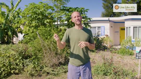 How to Turn Your Yard into a Garden | Grow Food Not Lawns 2020
