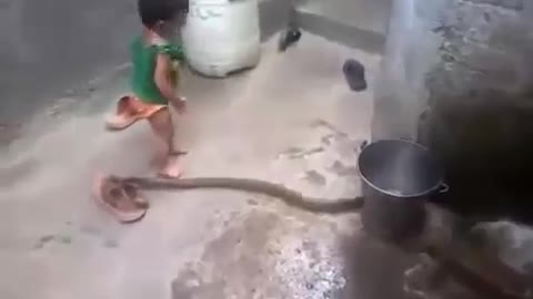 SNAKE WITH THE KID