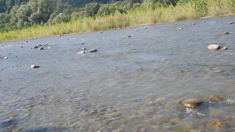 Cheremosh River. Beautiful water movement