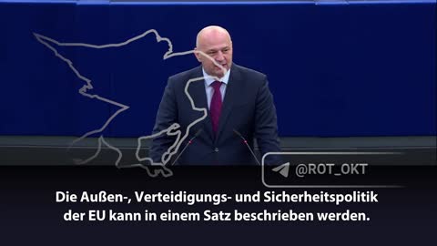 EU-Abgeordnete: "Die EU ist der 51. Bundesstaat der USA"