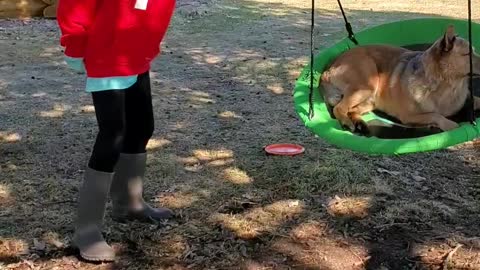 Adorable dog waits for his girl to swing him