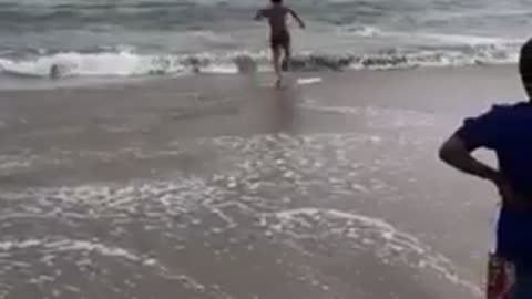 Guy running in water and jumps on surfboard and falls