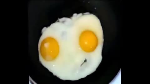Rapping Egg