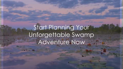 Florida's Top Swamp Tours