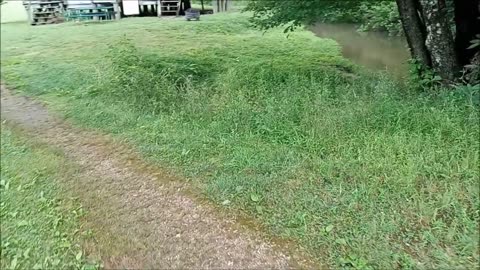 Bigfoot Gifting and Gold Panning Coker Creek TN.