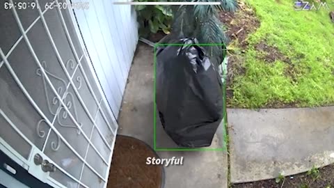 Porch Pirate Disguised As Trash Bag Steals Package From Home Doorstep