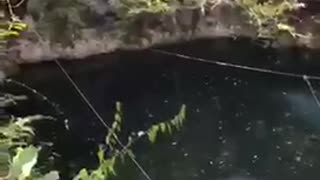 Guy falls into water backwards