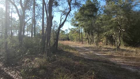 Hiking the Halpata Tastanaki Nature Preserve in Dunnellon Florida Part 2