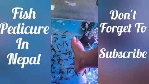 Fish Pedicure | 😯 | Doctor Fish Feet Treatment 😯