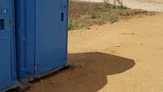 Serious Port-a-Potty Entertainment