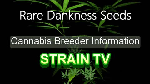 Rare Dankness Seeds - Cannabis Strain Series - STRAIN TV