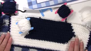 Intarsia Crochet Techniques in a Tapestry Project