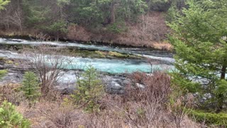 Great Wild River Section of Metolius River – Central Oregon