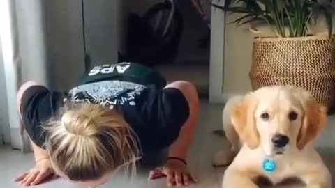 Funny Dog Exercising With His Owner