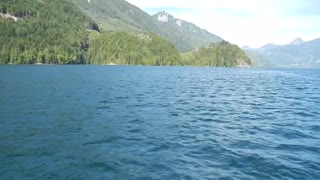 Pack of Pacific dolphins playing in front of my boat.