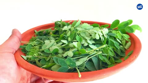 MORINGA BENEFITS - 16 Amazing Health Benefits of Moringa You Should Know!