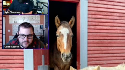 🐴 We're horsing around this week! from #QualityMatters Ep 173