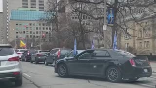 Toronto Trump support stop the steal