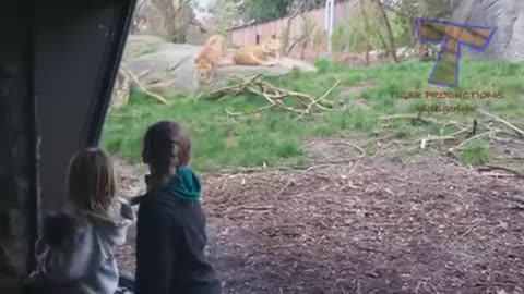 KIDS vs ZOO funny ANIMALS are WAY FUNNIER! - TRY NOT TO LAUGH