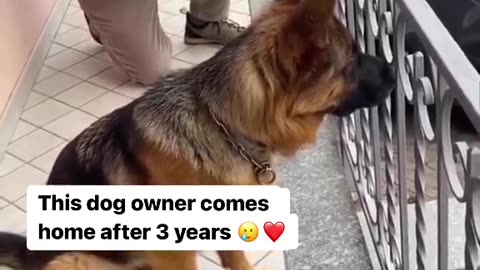 Dog excitement to see his owner after long time ♥️