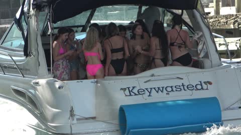 Females of All sizes and colors, just want to have good time on Miami River !!! Infowars Alexjones
