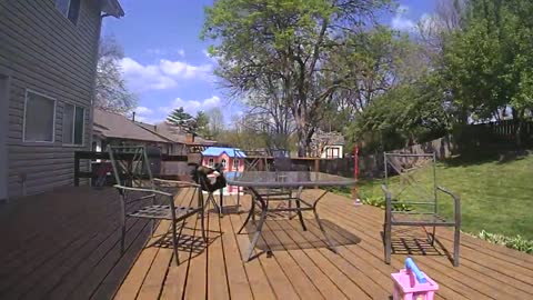 Easter Family Time Lapse