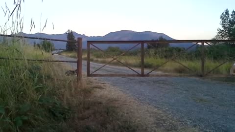 This Gate At An Abandoned Mental Hospital Creates Strange Sounds