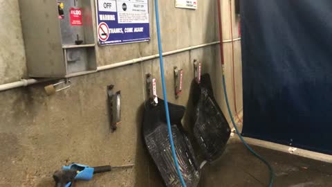 Petro-Canada wand car wash bay