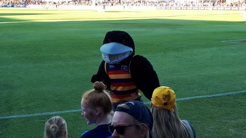 Adelaide Crows mascot playing with the crowd