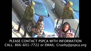 Philadelphia police searching for two suspects that unleashed dogs on family cat